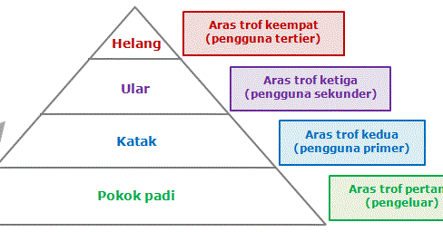 Fizik Tingkatan 4 Bab 2 Soalan Dan Jawapan - Selangor w