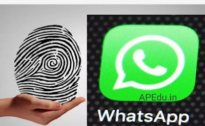 WhatsApp Fingerprint: Change Settings for Fingerprint Lock on Your WhatsApp