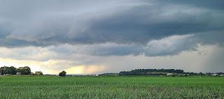 A storm over an onion field.