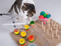 The Best Toys For Your Cat