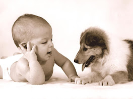 Cute Kutties Babys Playing With Dog Animal Wallpapers