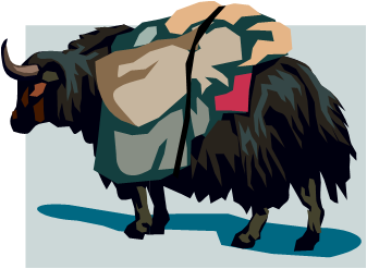 Amazing facts yaks, Bos grunniens, Yaks Facts