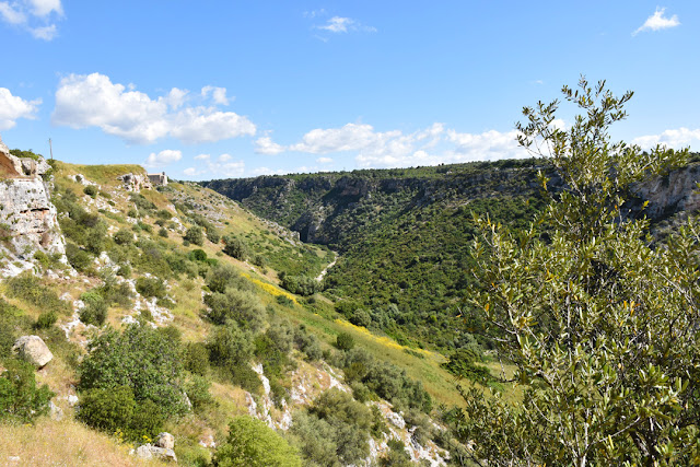 Veduta della Gravina Grande di Castellaneta