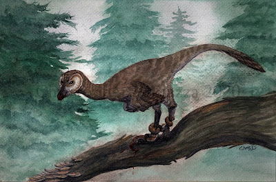 My life reconstruction of Pectinodon bakkeri in watercolors.  These dinosaurs show evidence of having been adept at hunting small prey like mammals and reptiles, including snakes.