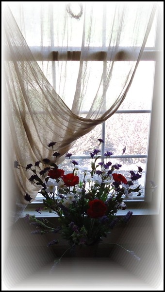 Flowers in Window 2