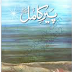 Peer-e-Kamil Urdu Novel by Umaira Ahmed 