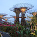 Gardens by the bay singapore