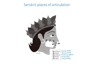 Five places of articulation in Sanskrit