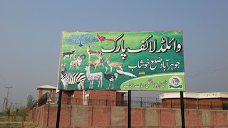 wild life safari park jauharabad khushab