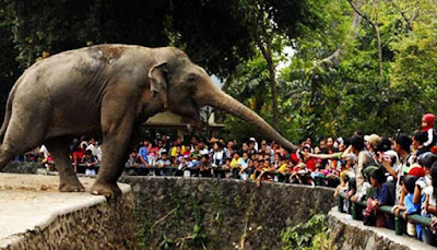 Kebun Binatang Ragunan