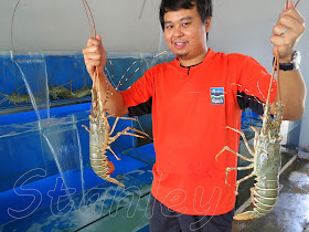 Lobster Johor