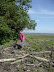 Negotiating the saltmarsh debris