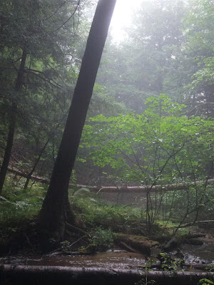 river crossing on the trail, hiking trail, michigan