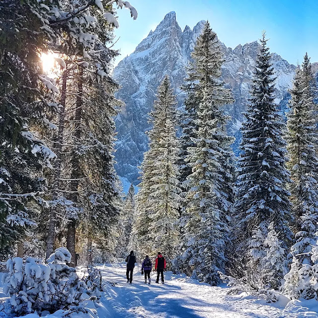 sesto escursioni invernali passeggiate