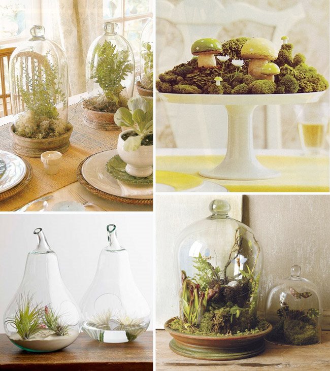 terrarium wedding centerpieces top group wenonah webster via bridescom 