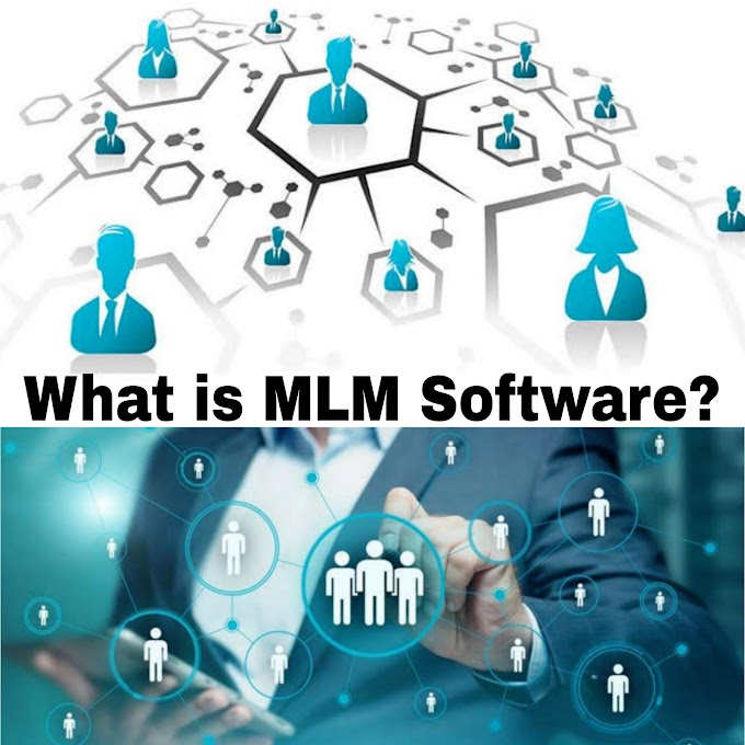 What is MLM Software? Explain some important modules of MLM Software.