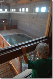 Zoo Field Trip Sept. 2011 138