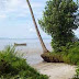 Pantai Mudong