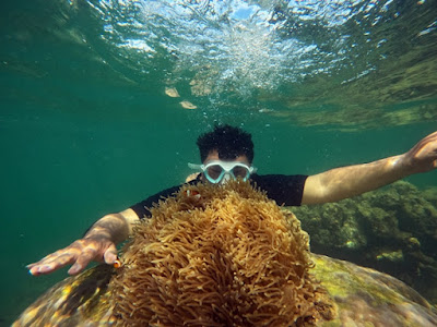 Snorkling di Pulau Lemukutan