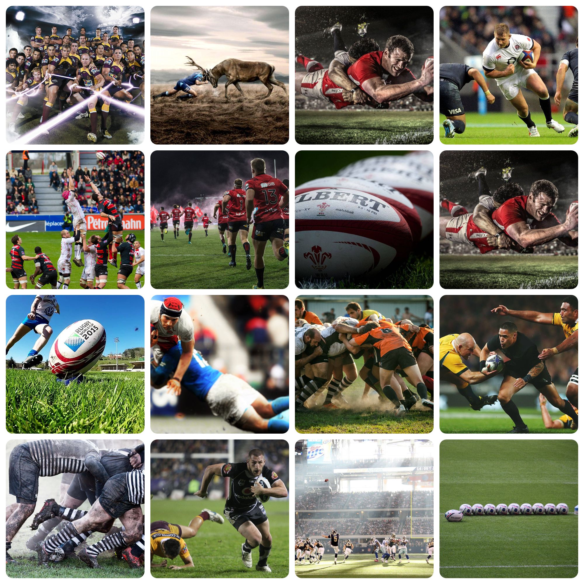 Download Rugby Wallpaper