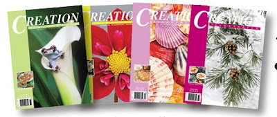 creation illustrated magazines