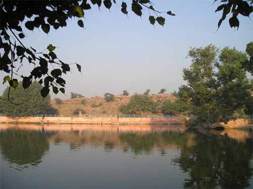 Picnic sitting on a log at the foot of Govardhan.