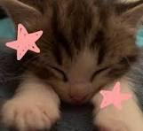 My photo