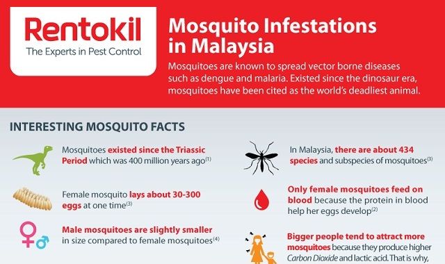 Image: Mosquito Infestations in Malaysia #infographic