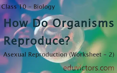 Class 10 - Biology - Chapter - How do Organisms Reproduce - Asexual Reproduction (Worksheet - 2)(#class10Biology)(#eduvictors)