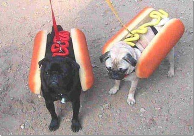 cachorros quentes