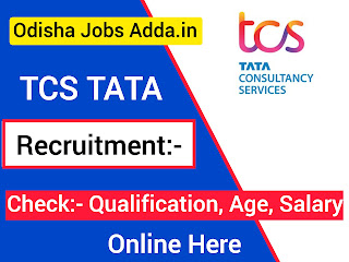 TCS TATA Services Consultancy Recruitment 2024 ! Apply Online Various Posts ! Salary 27,000/- Per Month !TATA Job Opportunity 2024