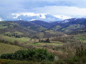 Tuscany vineyards