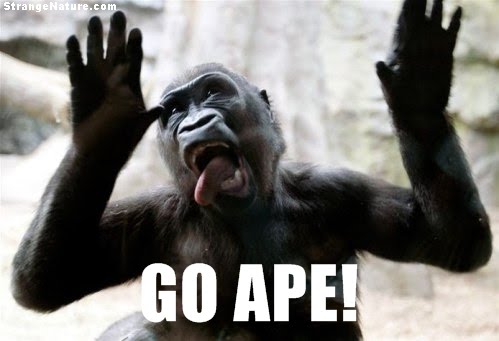 cute funny animals with quotes. Funny Ape pulling a funny face