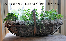 Repurposed container Chicken wire grape vine basket kitchen herb portable garden 