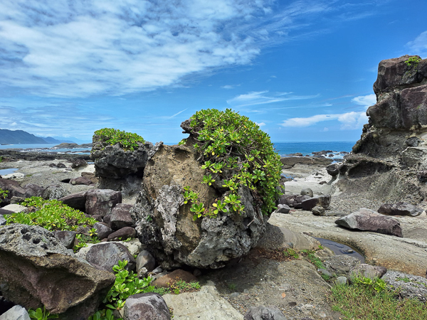 花蓮豐濱石梯坪遊憩風景區世界級的戶外地質教室，壺穴景觀台灣第一