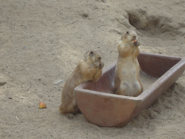 Tierpark Berlin