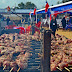 Municipalidad de Parral prepara contundente celebración de Fiestas Patrias en la comuna