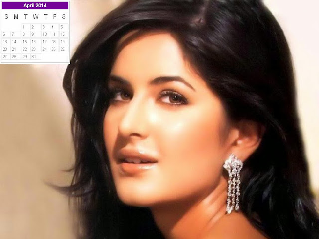 Katrina Kaif Calendar 2014