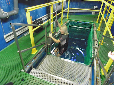 shark cage at SEA LIFE London Aquarium 