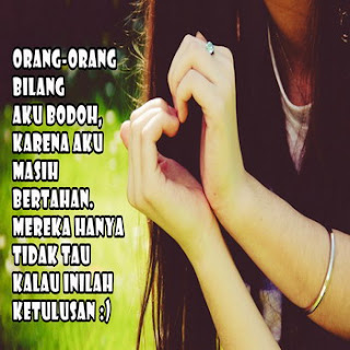 dp bbm orang bodoh gambar kata