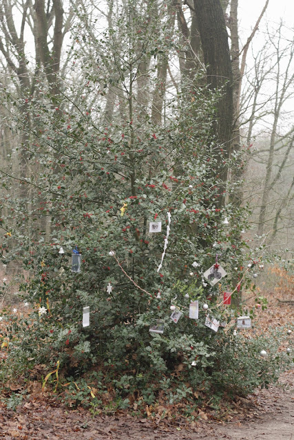 Hulstwensboom, Bennekomse Bos, december 2018; foto: Robert van der Kroft