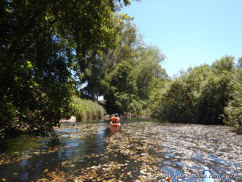 Kayak río Palmones