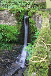 Ruta por el río Abelleira  by Susana Cabeza