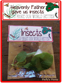 http://hollyshome-hollyshome-hollyshome.blogspot.com/2014/03/heavenly-father-gave-us-insects-to-make.html