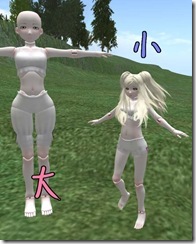 bjd21