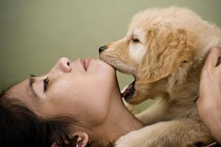 How To Stop Puppy Biting Problem