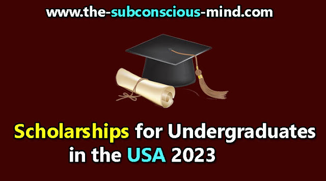 Scholarships for Undergraduates in the USA 2023