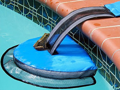 The FrogLog Is Animal Saving Escape Ramp For Pool, Perfect For Frogs, Chipmunks, Birds, Mice, And Etc  