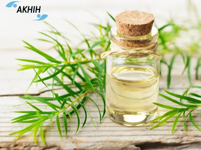 Incredible Tea Tree Oil Shampoo Benefits & Uses Incredible Tea Tree Oil Shampoo Benefits & Uses