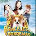 The Bracelet of Bordeaux (2007)